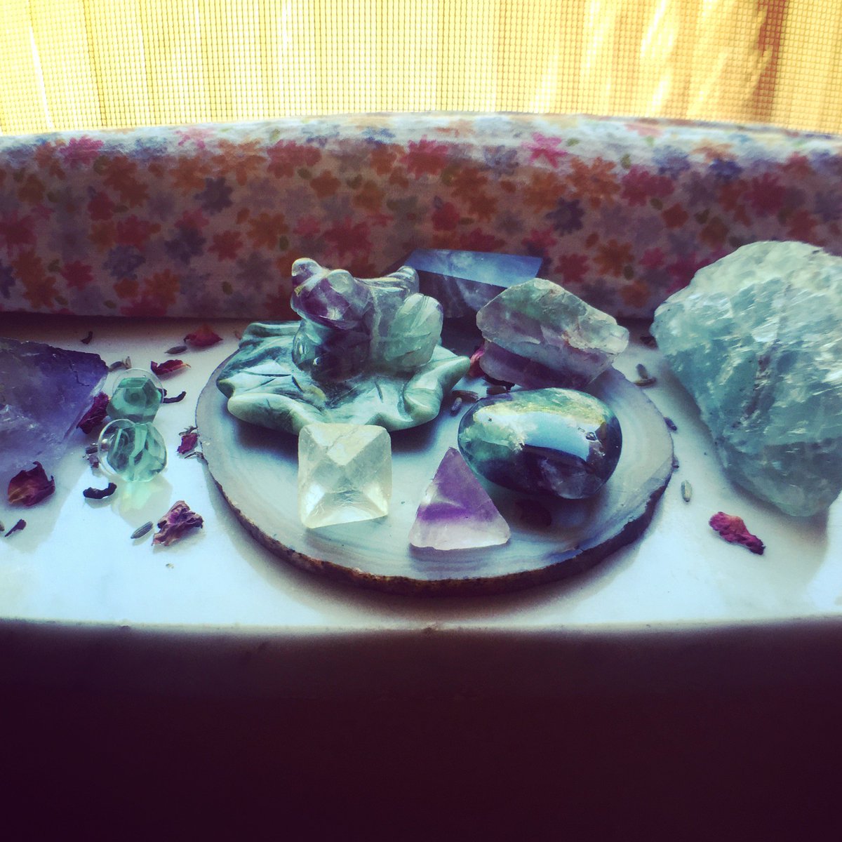 DocksideSteph's tweet image. Because Fluorite! 🌞