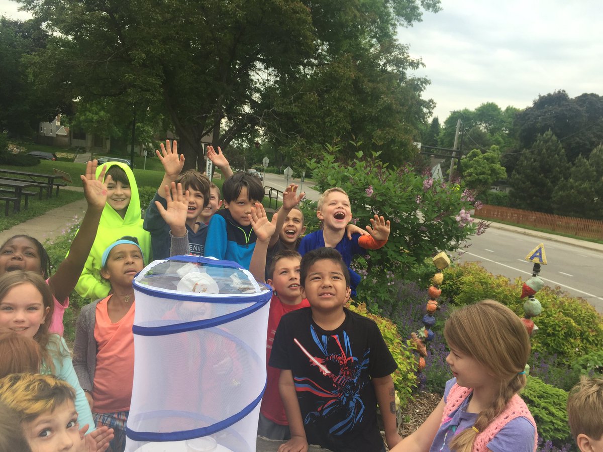 MsWalkes_Hale's tweet photo. We said goodbye to our butterflies today 🦋 #HaleToday https://t.co/VvYDE7aACK