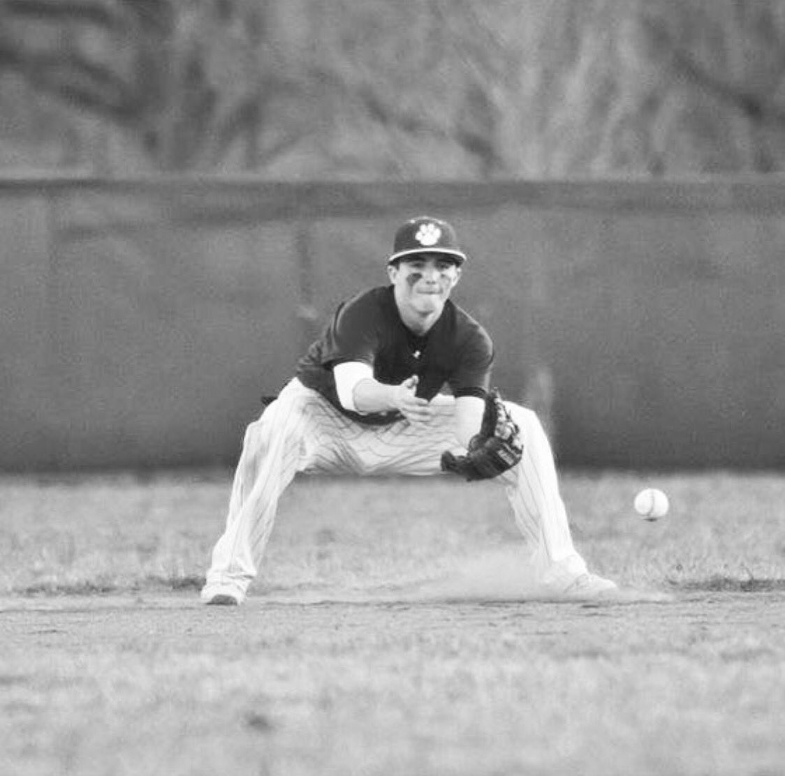 KCU BASEBALL tweet media