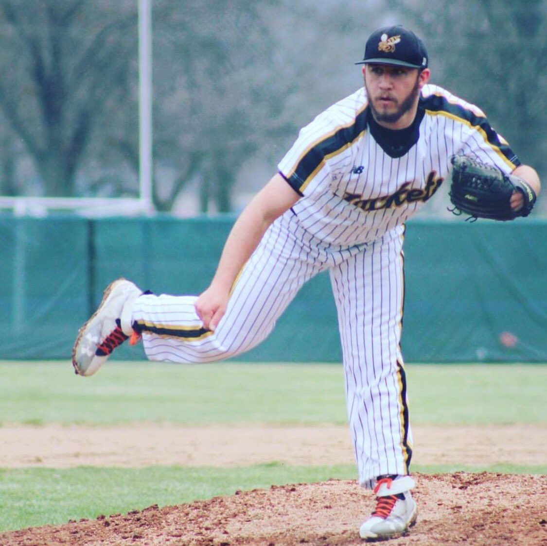 KCU BASEBALL tweet media