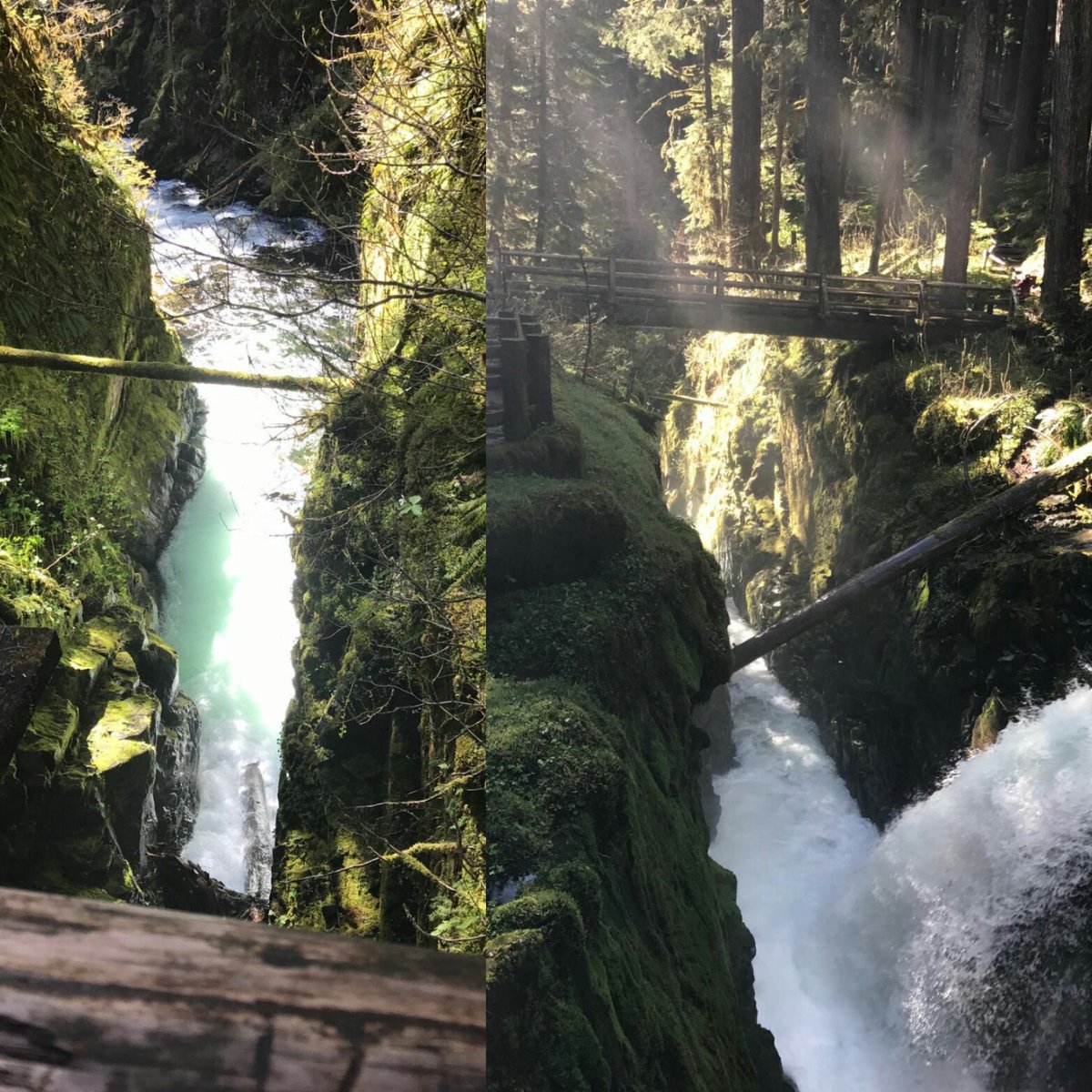 MeTheKingOne's tweet photo. One best hike #familyhikes  #kidsWahikes https://t.co/CuWaSn7w5j