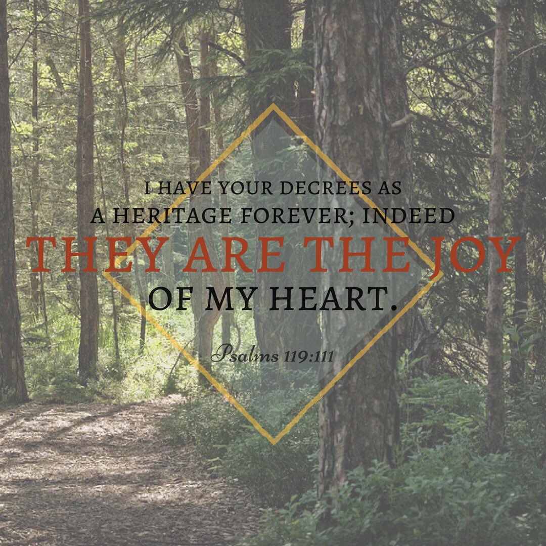 CrossLifeAnthem's tweet photo. It is such a joy that God has made Himself KNOWN to us through His Word! As we read the Scripture, let us treasure every Word. https://t.co/NbDZbSWJMy