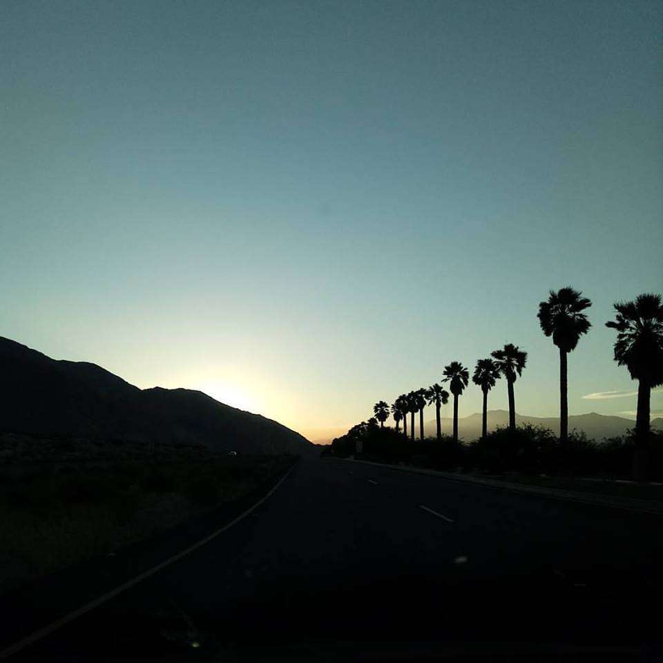 Cindy Rinne tweet media