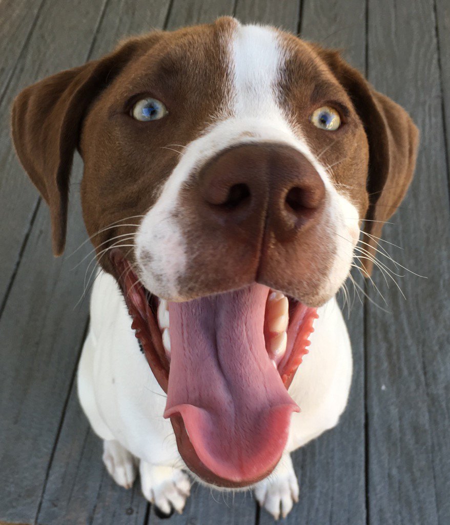 NeilEconomy's tweet image. Hehe...