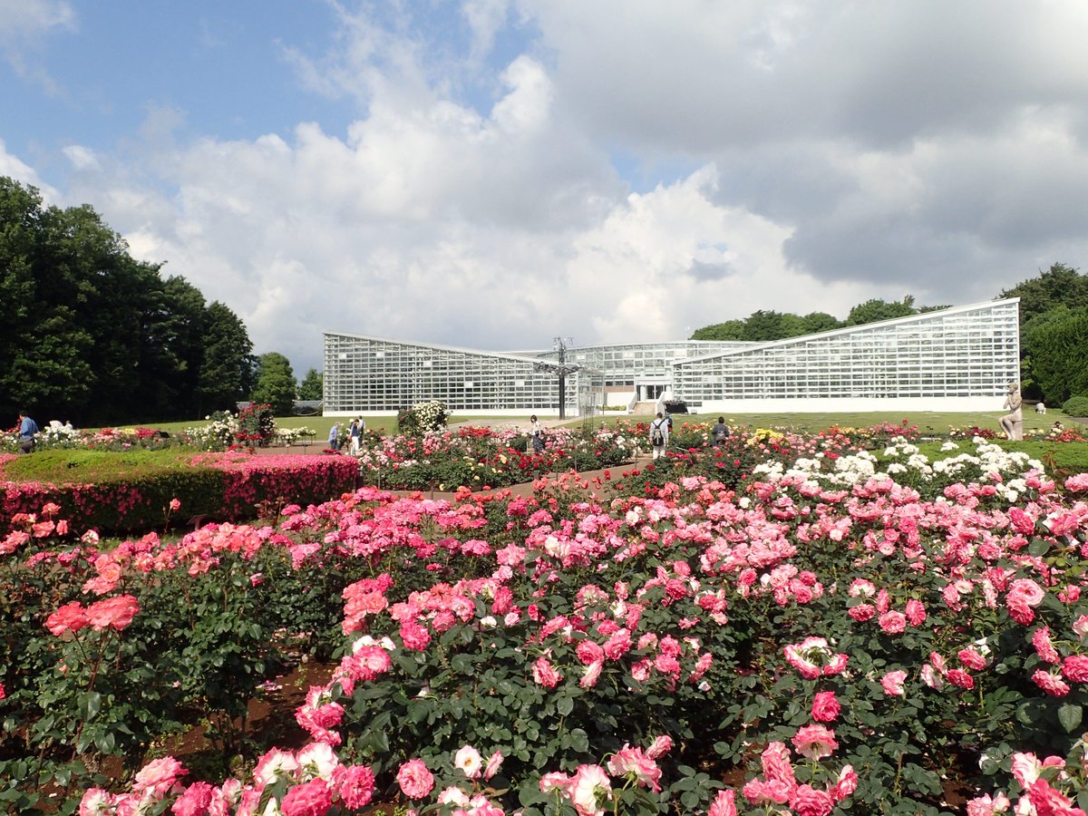 神代植物公園 ニュース A Twitter 5月27日 朝のバラ園の様子です バラフェスタは5月31日まで開催中 今日 明日の土日は天気も良さそうです シャクヤク園やサツキ展もお楽しみいただけます 皆様のお越しをお待ちしております バラフェスタ バラ 神代 神代植物公園 ニュース A Twitter 5月27日 朝のバラ園の様子です バラフェスタは5月31日まで開催中 今日 明日の土日は天気も良さそうです シャクヤク園やサツキ展もお楽しみいただけます 皆様のお越しをお待ちしております バラフェスタ バラ 神代