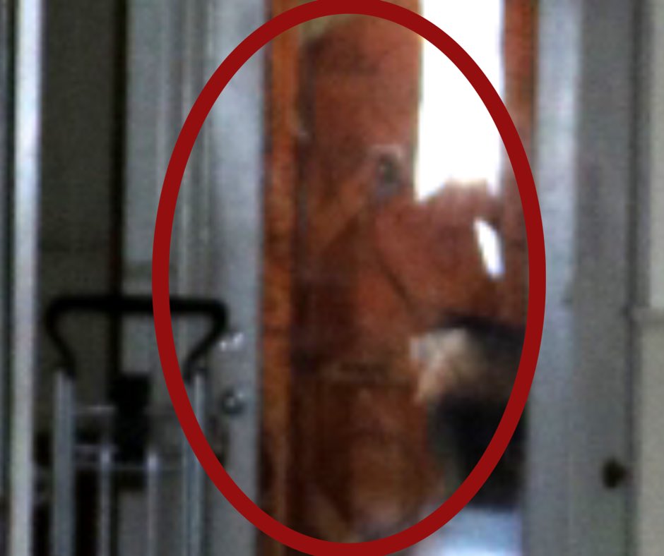 RIParanormal_'s tweet photo. An #apparition is seen in at the back door of the Prince Solms. Two pictures taken at different times with different investigators. https://t.co/zxsaNQislq