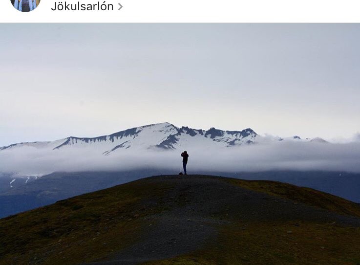 michaela dolph tweet media