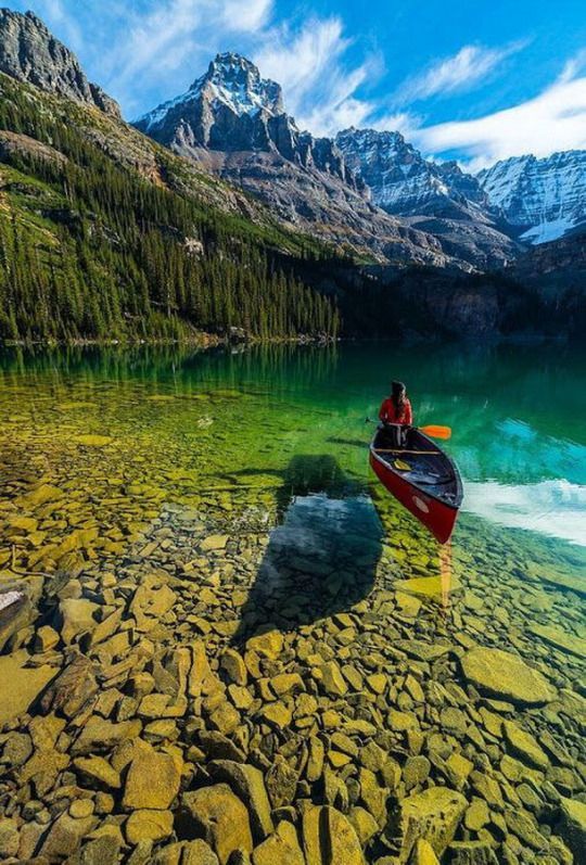 travellikegirl's tweet photo. Yoho National Park, BC, Canada https://t.co/Lk2ZesVRcM
