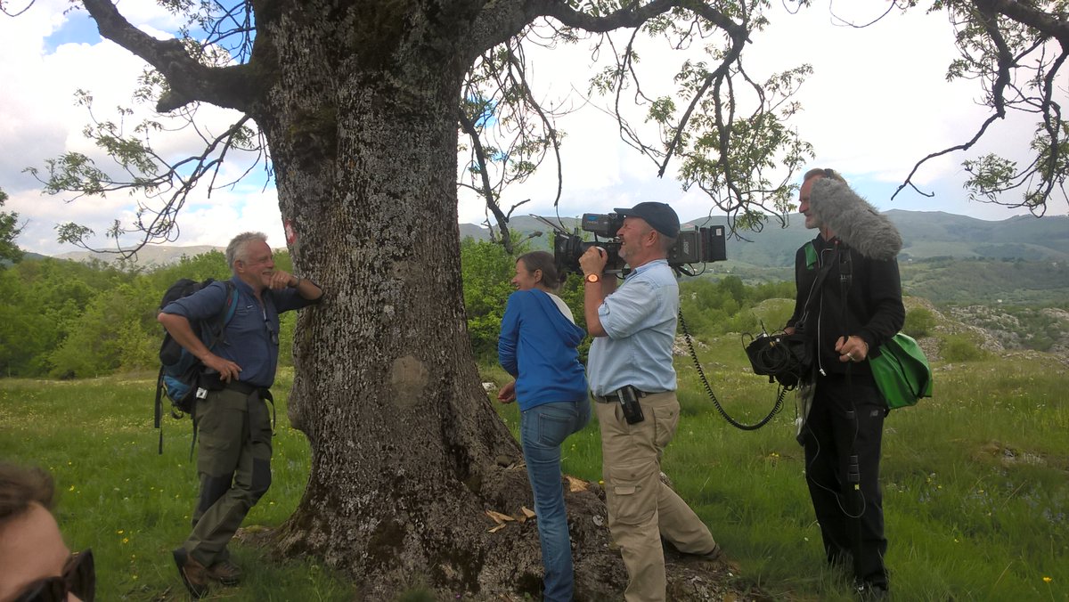Tweets_KH's tweet photo. #CrnaGora od #Ulcinja do #Durmitora i Planinarske price #Šavnik #Nevidio skoro u @sat1 https://t.co/N4muqhXaPK @SeeMontenegro https://t.co/nco31V5bXN