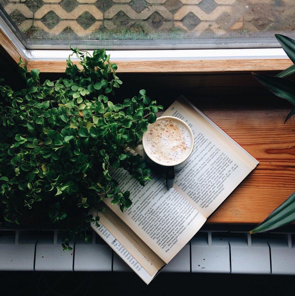 Khoollect's tweet photo. Coffee ☕ and reading 📙 #khoollectbreakfast https://t.co/cs3DXG5M8V
