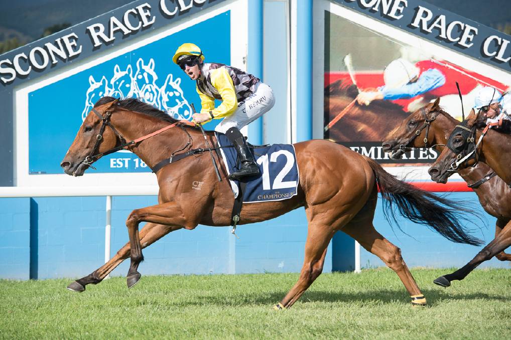 Kim Rieck (@kim_rieck) | Twitter