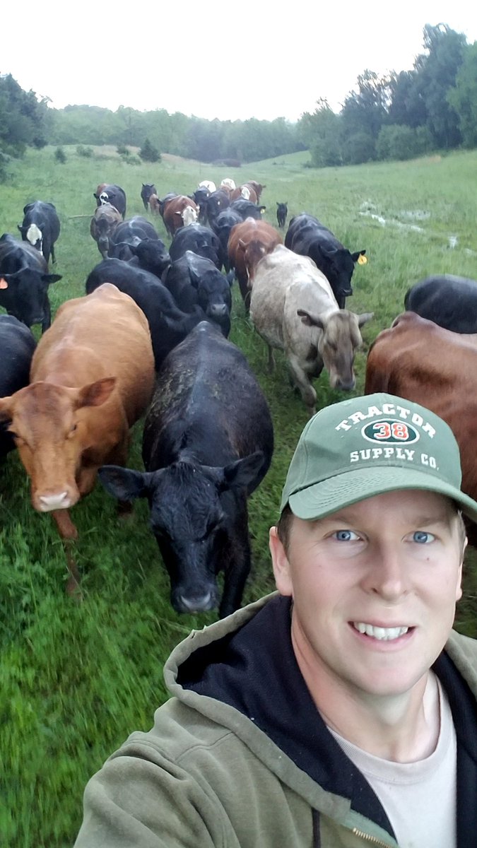 A man and his bovines. # teambessie