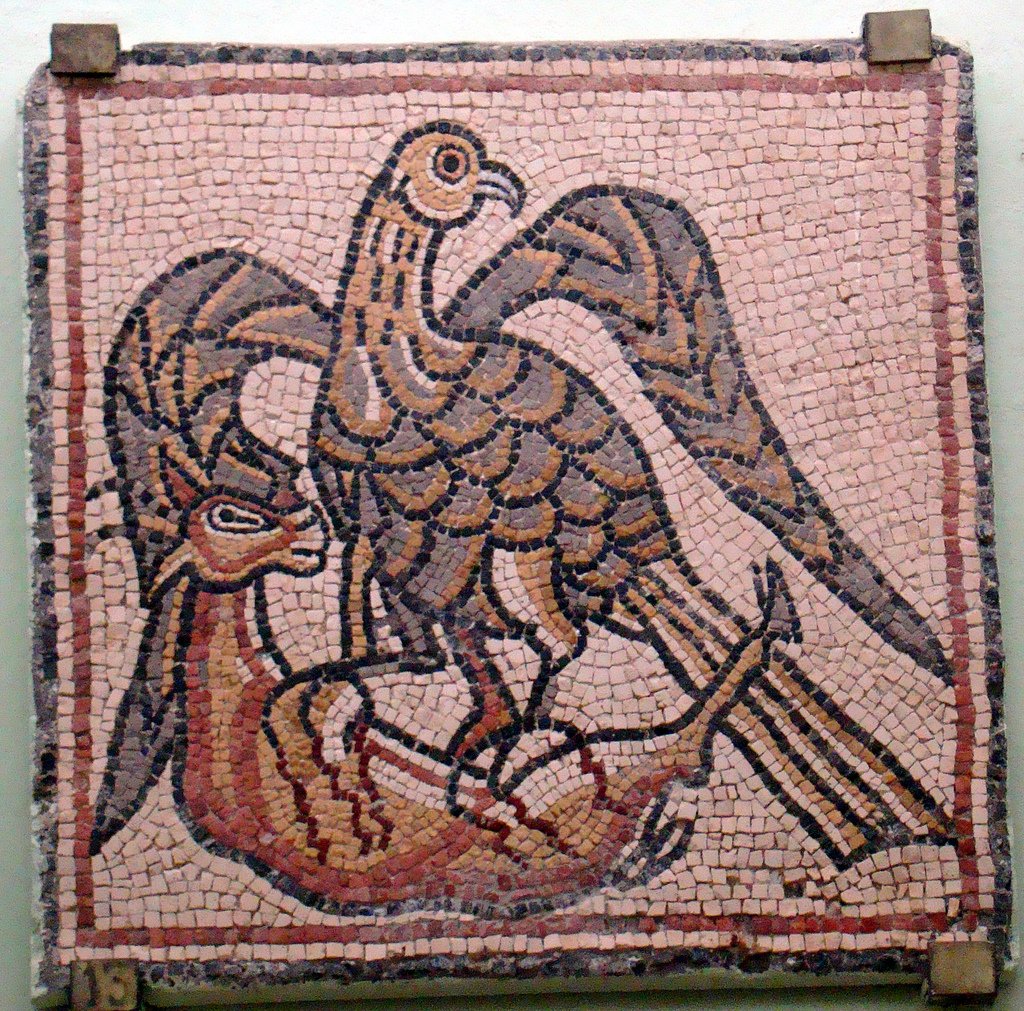 ghostofhellas's tweet photo. Mosaic showing an eagle attacking a deer or gazelle, Qasr #Libya, former Olbia, Libya, #Byzantine https://t.co/02DQP20qQd