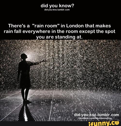 shadowolf615's tweet image. #rain #room #london 
ifunny.co/fun/499ucI9o
#iFunny
