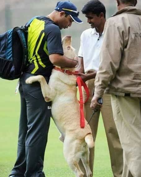 virendersehwag's tweet photo. Dogs do speak but only to those who love to listen. https://t.co/5c6zjLuYu2