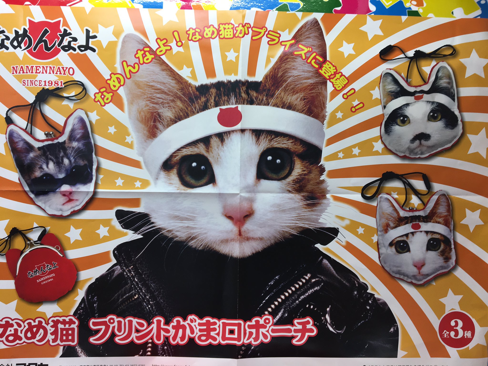 公式 アドアーズ渋谷店 なめ猫からがま口ポーチ ネオプレーンミニポーチが登場しております なめ猫 T Co Pzzxtq2ipa Twitter