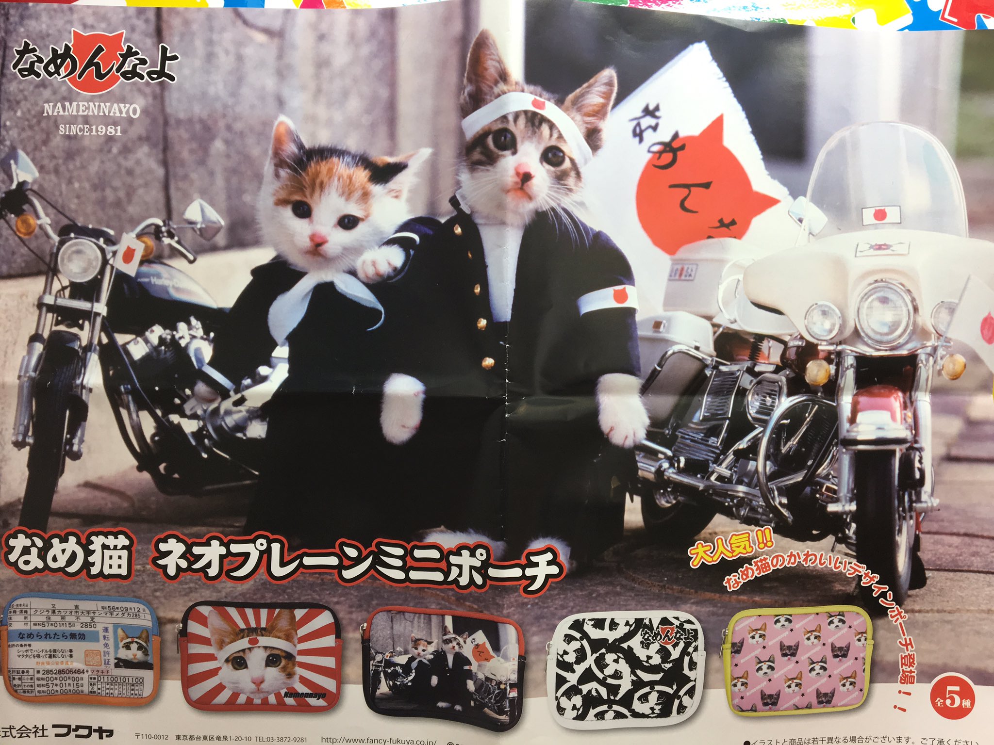 公式 アドアーズ渋谷店 なめ猫からがま口ポーチ ネオプレーンミニポーチが登場しております なめ猫 T Co Pzzxtq2ipa Twitter
