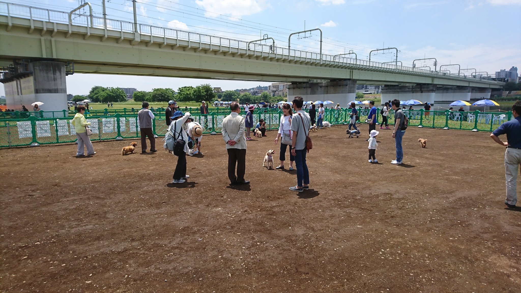 狛江市環境政策課 狛江市 多摩川 いきもの まつり ドッグランオープン 本日はドッグランのオープンを記念して 多摩川 いきもの まつりを開催しています ぜひ多摩川河川敷まで来てください T Co 76h0emu0ft Twitter