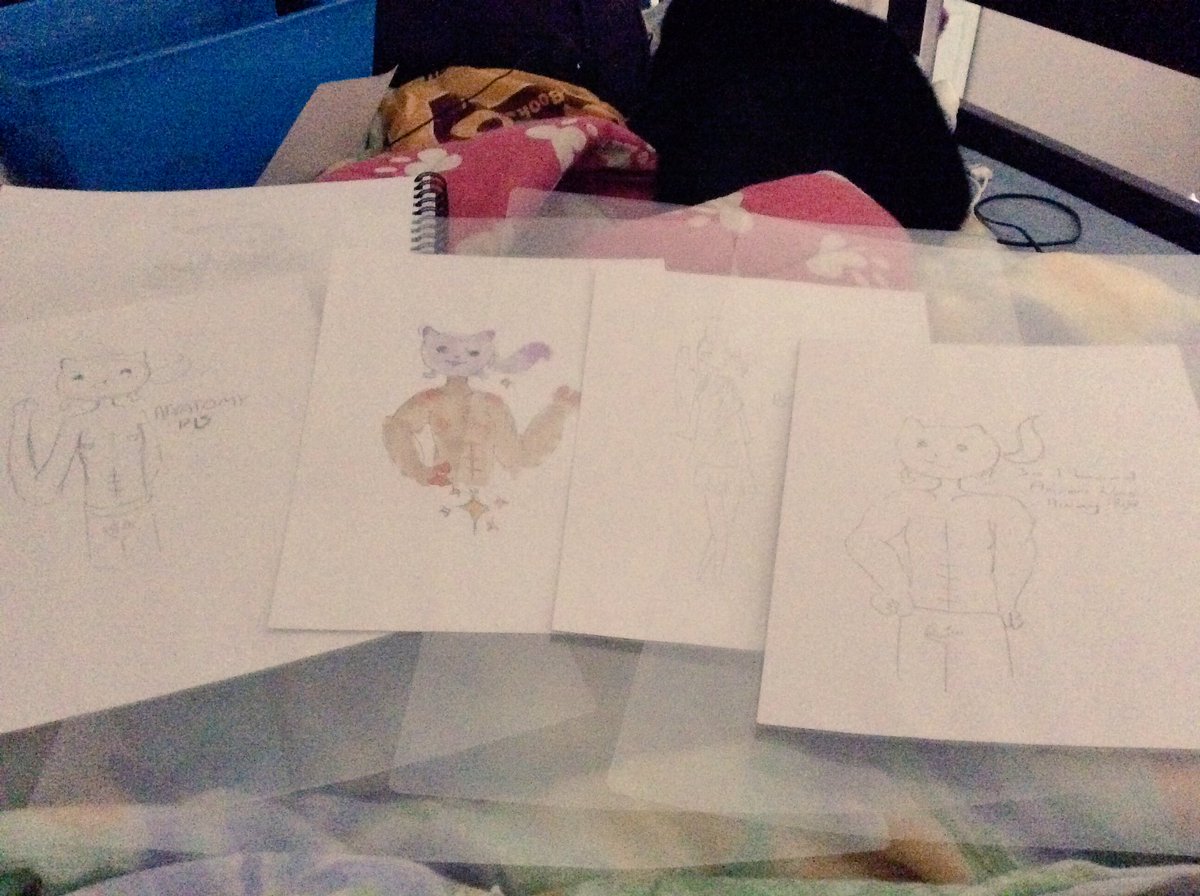 zerineko's tweet image. I've just had all the drawings I've done over the stream laminated xD thanks for a great time :D @JasonBravura @_Aphmau_