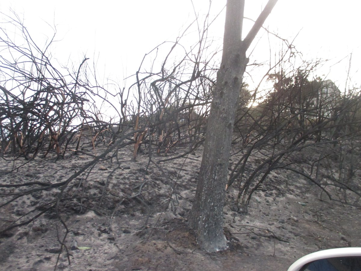 WesthillKnysna's tweet photo. Thank u to @KnysnaPlett @rabidjourno for spreading news & all services @KnysnaMuni #KnysnaFires '@knysnatourism #AllSound 4 all hard work https://t.co/u72I3ZDJyo