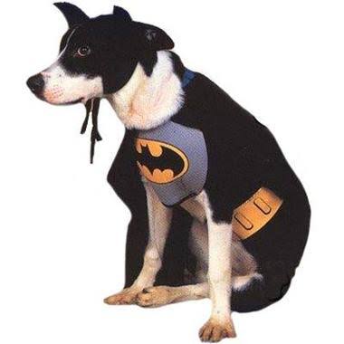 Fãs, batdogs e catdogs tristes ao saber que o grande #AdamWest, o #Batman dos anos 60 nos deixou hoje. RIP e obrigado por tudo!!!