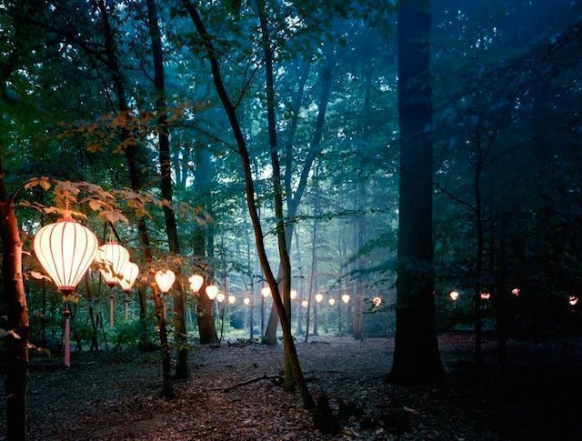 fubiz's tweet photo. Lights in The Wood https://t.co/0lfUfpPLhD https://t.co/cl1XwDhbRn