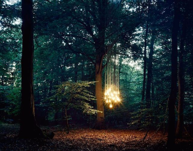 fubiz's tweet photo. Lights in The Wood https://t.co/0lfUfpPLhD https://t.co/cl1XwDhbRn