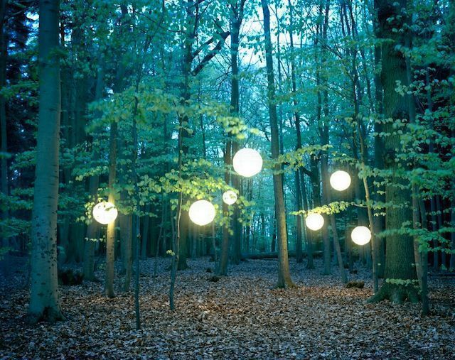 fubiz's tweet photo. Lights in The Wood https://t.co/0lfUfpPLhD https://t.co/cl1XwDhbRn