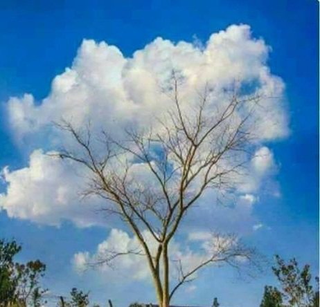 be1t2h's tweet photo. @SabrinaG2011 @geomatica44 @iv_boks @MarionSpekker @HiroshiMikami_ @marizulca @bettinaschroed5 @keikalin020460 @SOHEOSCAR @mariab64 @JannaKaraibida 😘Even if the leaves fall,🙏 God is able to guarantee the spectacle!🍁🌾🌺🌻🌹💥Happy weekend my loves😚 https://t.co/fNjU7Gm38r