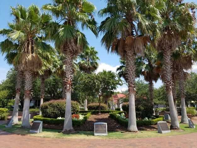 Cancer Thrift Store tweet media