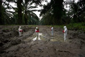 1AMGenerator's tweet image. Learn more about street art, social change, and this curate group piece on bit.ly/2sOC9XP bit.ly/2sf35mg