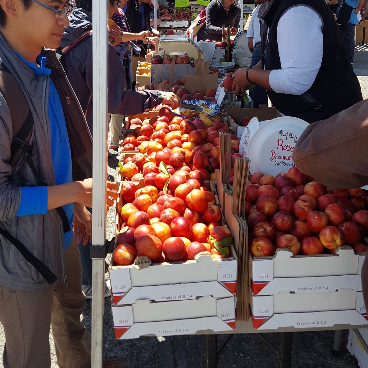 georgia (same @ on the 🟦☁️ app) tweet media