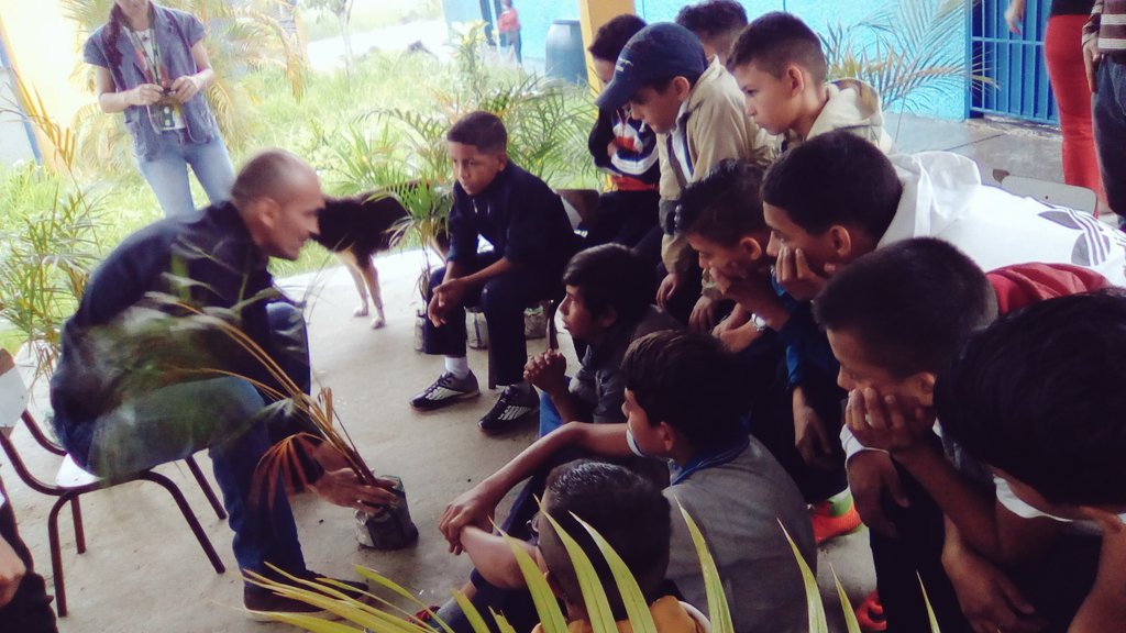 ner_359's tweet photo. Jornada de reforestación y donación de plantas por parte de @MineaOficial Tachira @ZonaEducTachira @MPPEDUCACION @joandues @clifpsc https://t.co/XwsaUFgnkp
