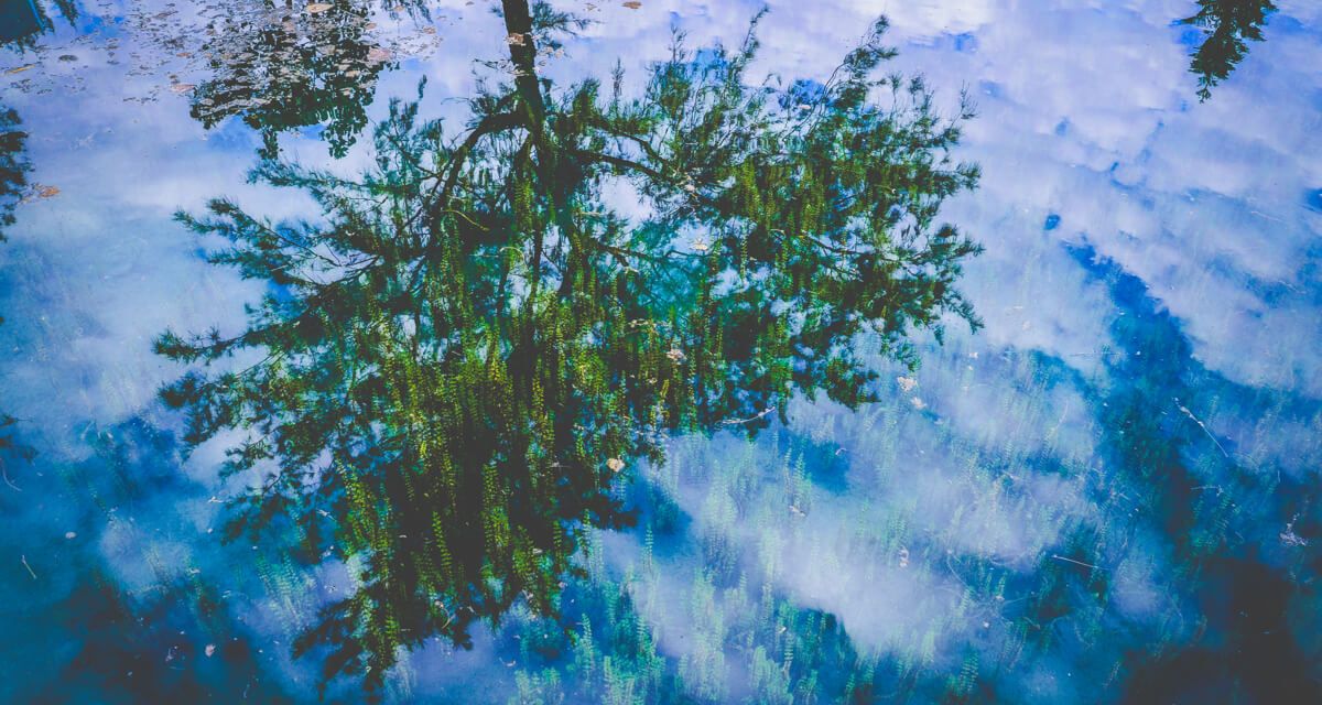 join_ark's tweet image. A Change in Seasons bit.ly/2oTImzG