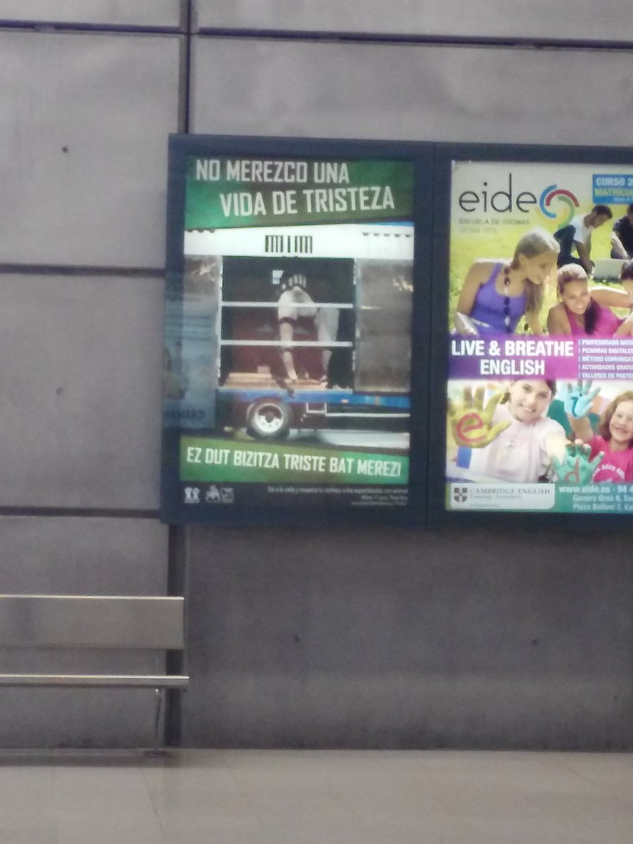 dbora_007's tweet photo. #PiztiakKonpartsaAnimalista y su campaña en #metrobilbao rechazando los espectáculos con animales. #nosemerecensufrir https://t.co/04TsU9Z6qK
