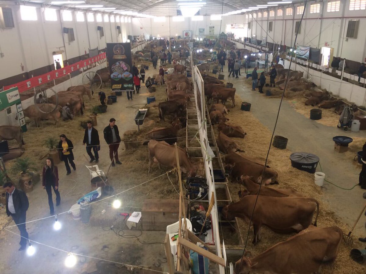 merisio's tweet photo. Eventos como a #FEAGRO discutem os caminhos para seguir inovando e incentivando o pequeno produtor e o modelo catarinense de cooperativas https://t.co/qbj1DYlUQG