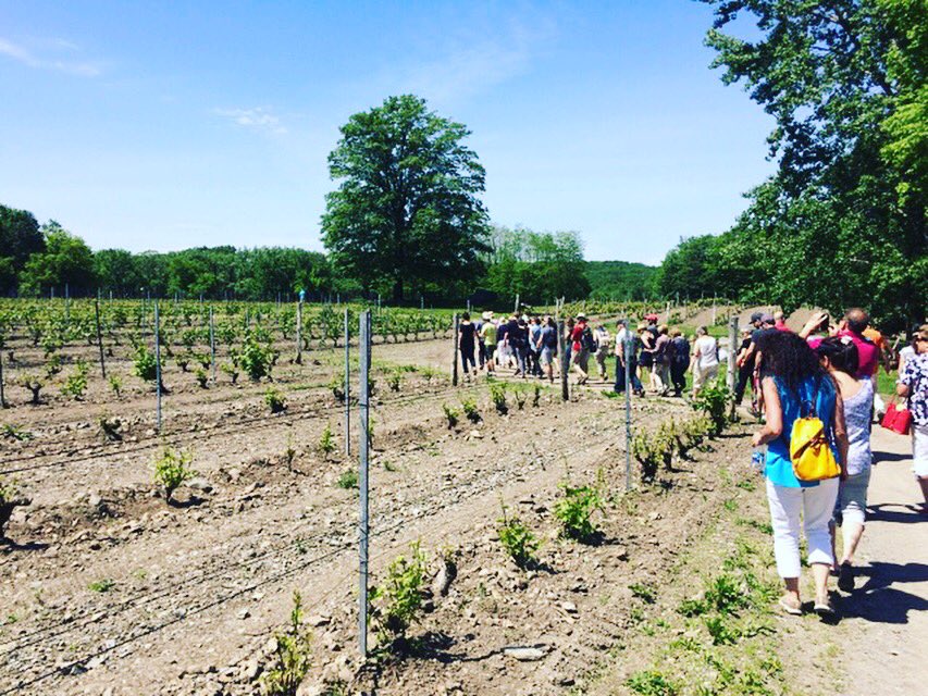 exp_embargo's tweet photo. Visite et dégustation! 🍷 https://t.co/aQ7Cl5yHES