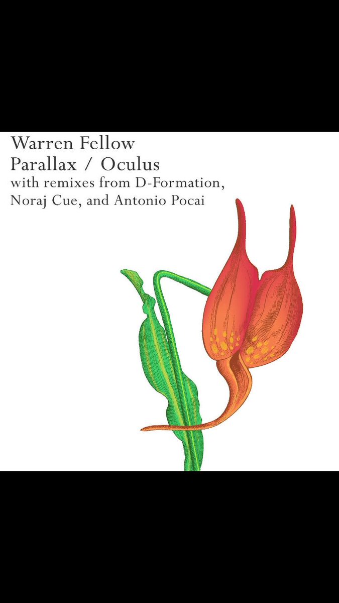 Warren Fellow tweet media