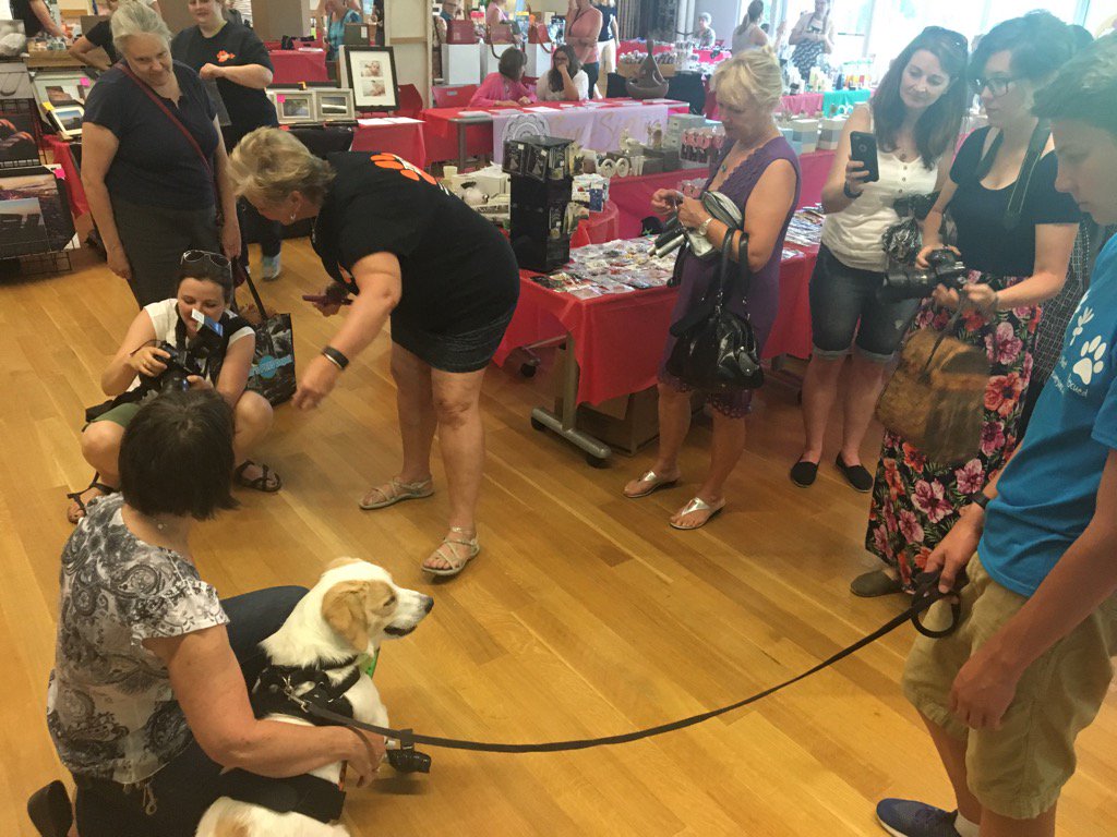 MediaStevens's tweet photo. As usual #Cupid steals the show. The two legged dog is motoring around on his front wheels https://t.co/7ydyLRAsXA https://t.co/qx6cPhMtzE
