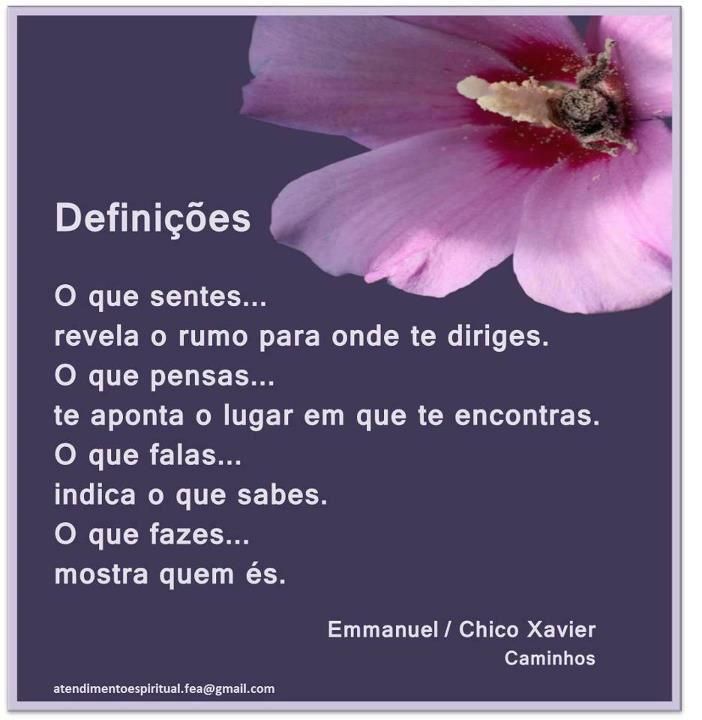 <a href="/MFreudenborg/">MarcioFreudenborg 🇧🇷</a> <a href="/Cris_Abdalla/">Cristiane C. Abdalla</a> <a href="/barbuleta2/">Barbuleta2</a> <a href="/leilasbsantos/">🇧🇷LEILA BOTELHO 🇧🇷🇮🇱</a> <a href="/CUSTER85/">carro patrick jacque</a> <a href="/VelvetSkye/">Velvet Skye™© 🇨🇦 ❤️</a> <a href="/MeireEliz/">Meire Eliz</a> <a href="/elzasantos007/">Elza Santos</a> <a href="/dressenn/">Dressenn</a> <a href="/MarcioFreudenb1/">Marcio Freudenborg</a> <a href="/mjandrade/">Marcos 😎👍 ˢᶜᶜᵖ 🇧🇷</a> <a href="/PaulXbrow2/">Paul brow</a> <a href="/Marcelo04346868/">Marcelo Francisco,autoproclamado Rei do Brasil</a> <a href="/GarciaRego/">Santos Garcia Rego</a> <a href="/mara_assis/">MARA</a> @PapaPorter1 <a href="/enosms/">Enos Mendes</a> <a href="/subeida1/">SubeidaHexa🏆🦊💙</a> <a href="/lepetitportcord/">le petit port cordon</a> <a href="/Aldenialinda/">aldenia</a> <a href="/lenita_monteiro/">Lenita Monteiro</a> <a href="/Ciriademattos/">🔫BRASIL 🌹🍷Aliança pelo Brasil 🇧🇷3⃣8⃣</a> <a href="/Moraes5O/">Ari Moraes</a> <a href="/GilmarDornelles/">Gilmar_Dornelles</a> <a href="/SakaSakamori3/">SakaSakamori 3</a> <a href="/EdsonGo04387754/">Oásis no Deserto</a> <a href="/ozerinho/">José Roberto Pereira</a> <a href="/ELIANASUGAMORI/">Eliana🇧🇷</a> @Gui_iah <a href="/rosanesba/">🌺Rosane🌺</a> <a href="/barth_lisia/">Lisia Barth 🇧🇷🇺🇸</a> @sergio_bop <a href="/marcondescc/">Carlos Marcondes</a> @tovaga <a href="/Sambarosi/">RosieSamba</a> @rosemetal222 <a href="/DouglasWilliam0/">Douglas William® 💙</a> <a href="/Camac_Rejas/">Gaby</a> <a href="/DeFaukatrua/">Edu live</a> @Selakantus <a href="/XJulieta/">Julieta</a> <a href="/celiamarf/">Célia Maria</a> @GercinoPE_SP <a href="/helena_sobotka/">Helena Sobotka - Lena -</a> <a href="/Thay_Melo99/">desabafei</a> Bom fim de semana Marcio e amigos.