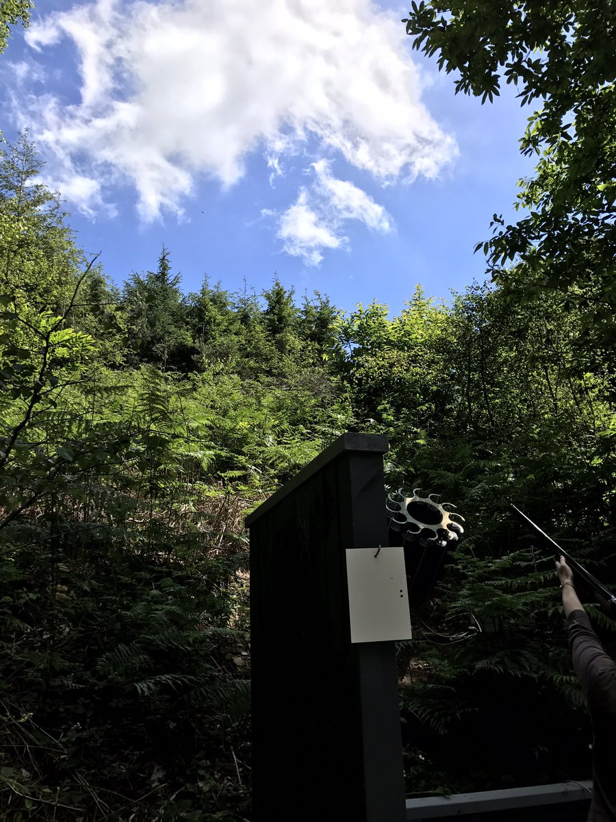 Fantastic #nlsd2017 <a href="/hownhallshoot/">Hownhall Shooting</a>