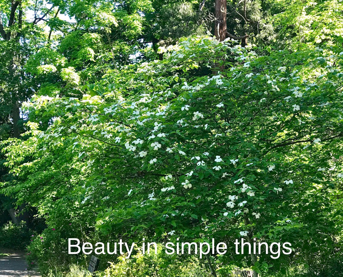 <a href="/DanutaNowak5/">Dana</a> Yes Thank You Dear Dana #Life is #beautiful ... and even more so when we see #beauty in #simple things. Share Joy <a href="/KariJoys/">Kari Joys MS</a> #JoyTrain #love😇
