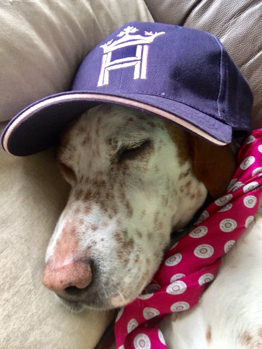 Even the dog's getting in on the @ChelseaBunClub #NLSD2017 and @FieldsportsMag #selfie action!