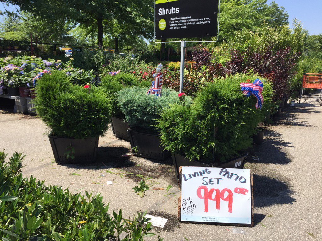 Canadian Tire Trees And Shrubs For Sale edu.svet.gob.gt