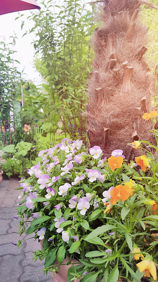 Time to relax 🌴🌼🌞