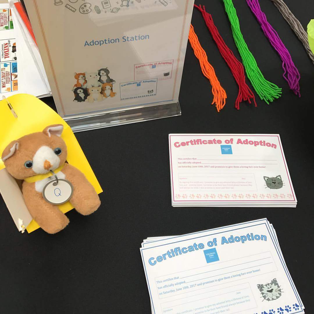 Colonial Park Mall tweet media