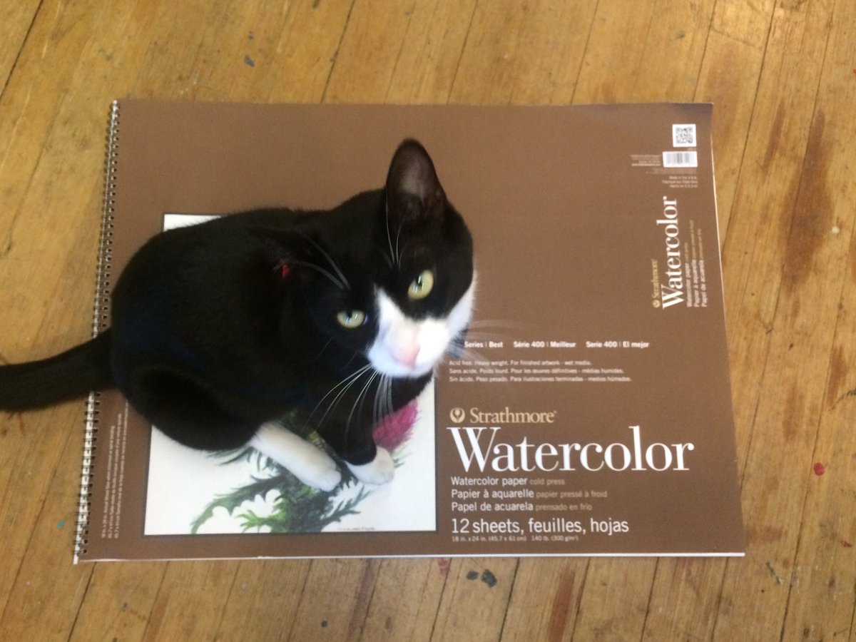 Watercolor Cat knows painting is watercolor is difficult, but he definitely wants you to try to paint in watercolor anyway. #Jinx