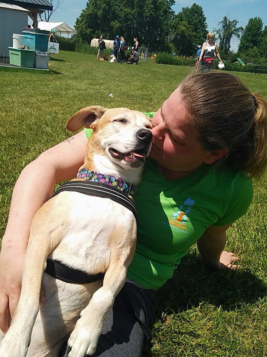 SitWithMeRescue's tweet photo. πππ # jumpduckrun #dogsof613 #rescuedismyfavoritebreed https://t.co/Sx9aJn2Ecv