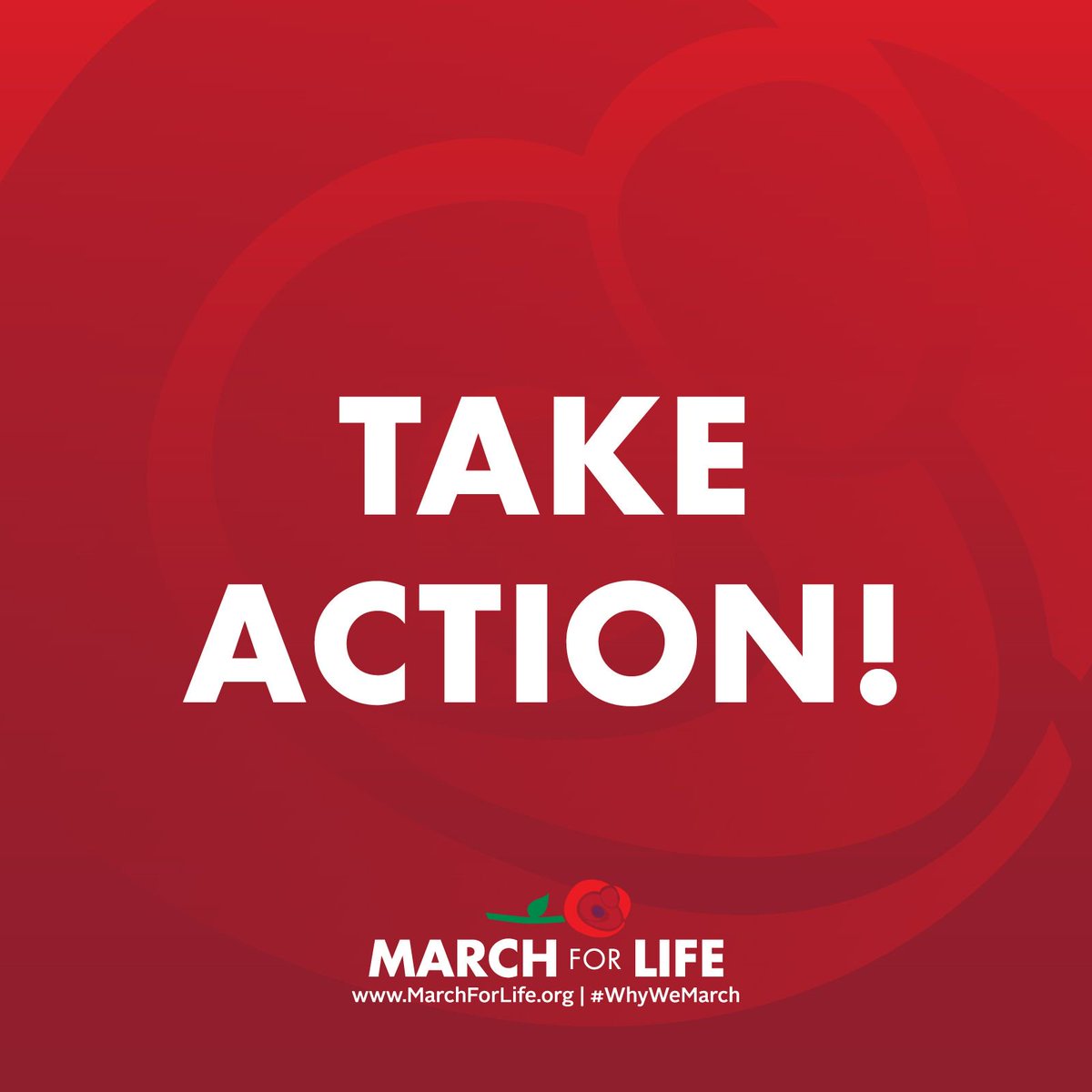 March_for_Life's tweet photo. Your voice is needed: ask @theJusticeDept to #investigatePP -->> https://t.co/wVgVuFSg0G. #prolife https://t.co/7g8JFHDPED