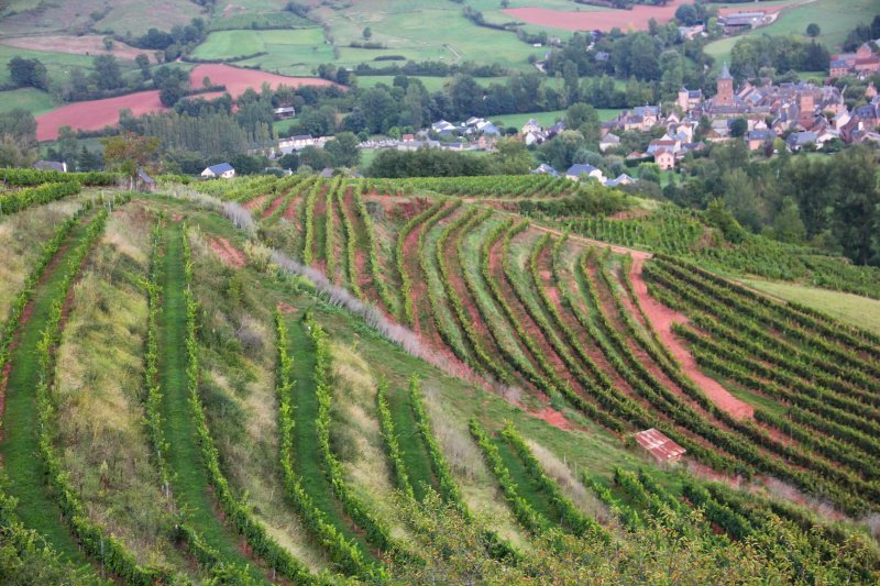 L'Aveyron est-il réellement doté d'un vignoble ? On y répond ici 
ecole-muscadelle.fr/programme-des-…